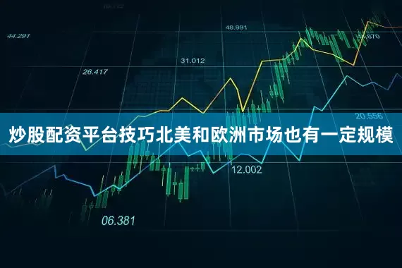 炒股配资平台技巧北美和欧洲市场也有一定规模