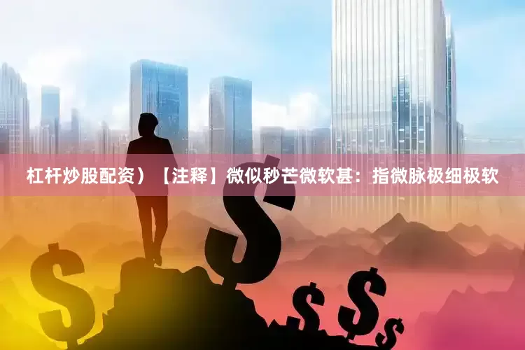 杠杆炒股配资）【注释】微似秒芒微软甚：指微脉极细极软
