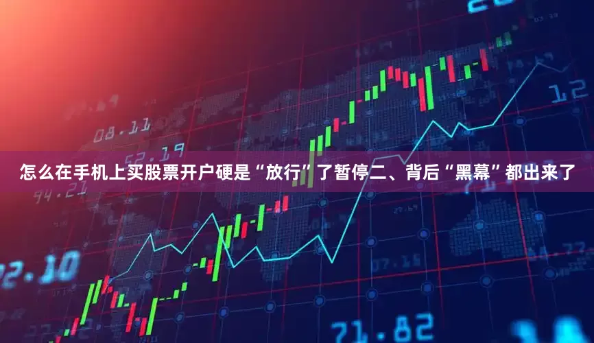 怎么在手机上买股票开户硬是“放行”了暂停二、背后“黑幕”都出来了